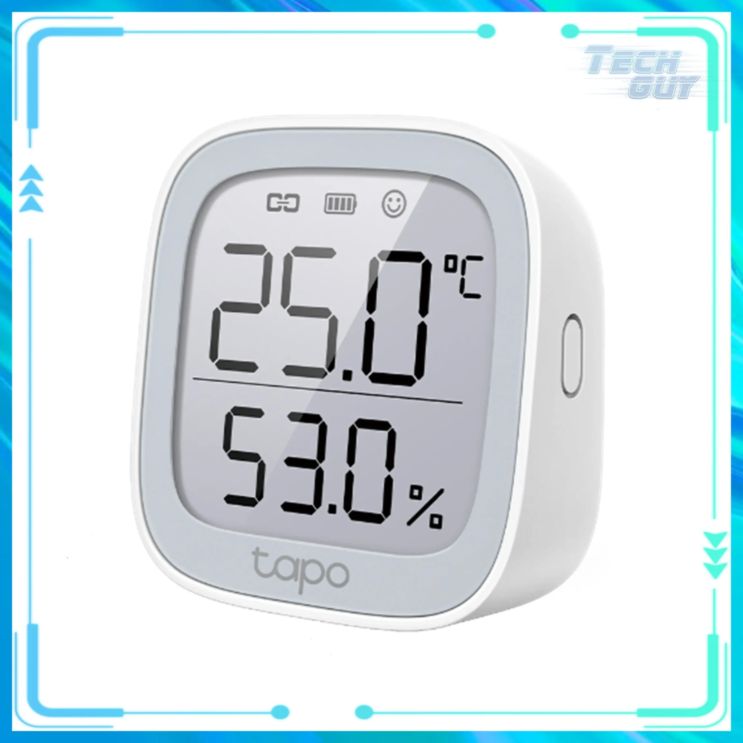 TP-Link Tapo T315