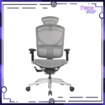 GTCHAIR ISEE X 人體工學網椅 (2色):圖片 2