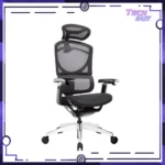 GTCHAIR ISEE X 人體工學網椅 (2色):圖片 3
