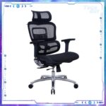 Zenox Ergonomic - Ten-E Office Chair 辦公電腦椅 (Mesh/Black)