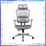Zenox Ergonomic - Ten-E Office Chair 辦公電腦椅 (Mesh/Grey)：圖片 2