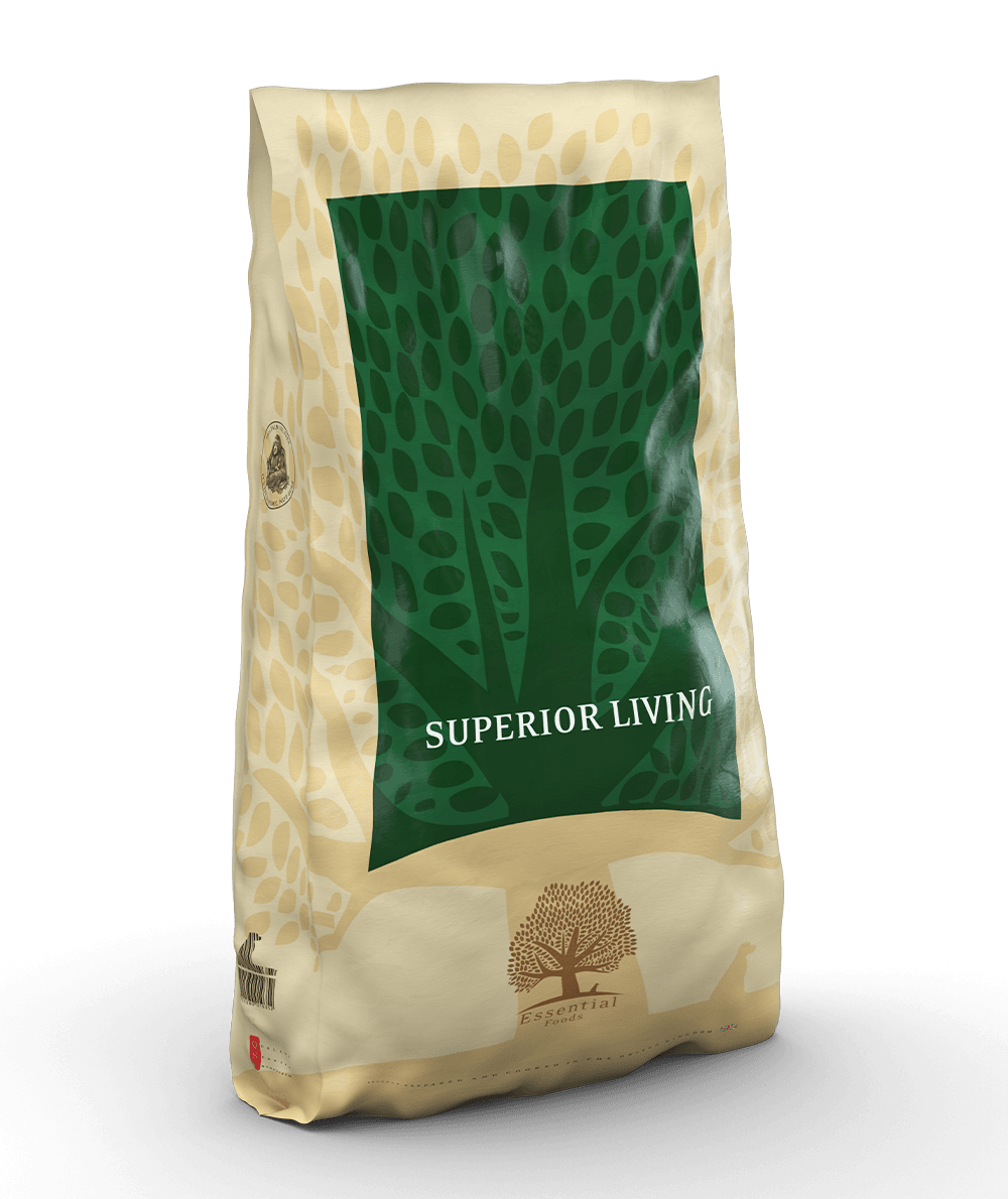Essential Foods - 完美品質生活新鮮雞鴨肉無穀物全天然成年狗糧( 大粒 ) 10KG