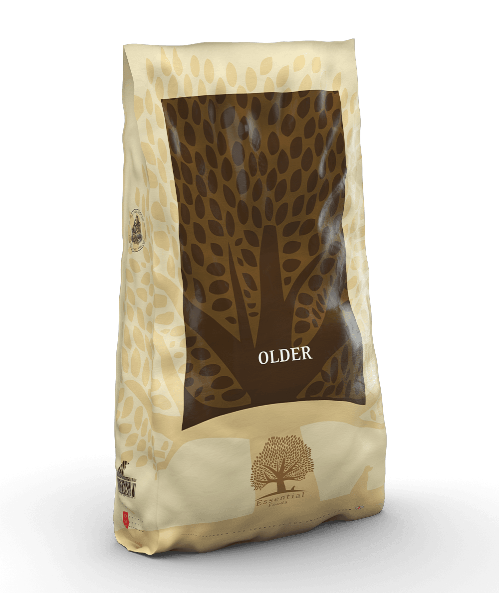 Essential Foods - 長青年長犬無穀物全天然老狗糧(大粒) 10KG